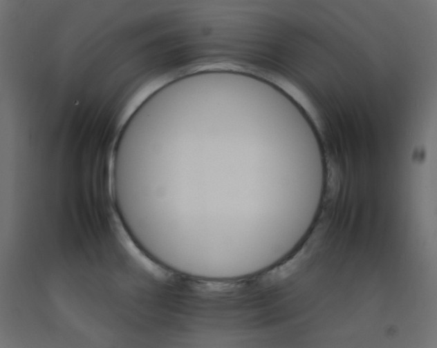 X0000092071290200710101010