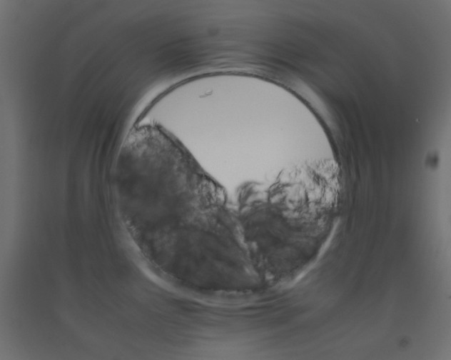 X0000092071291200710101010