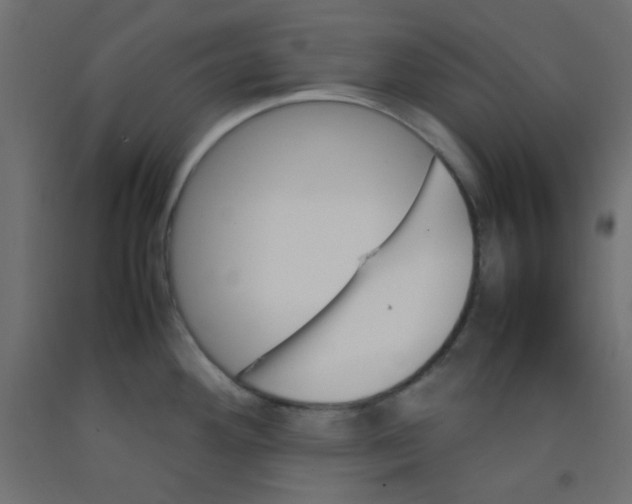 X0000092071292200710101010