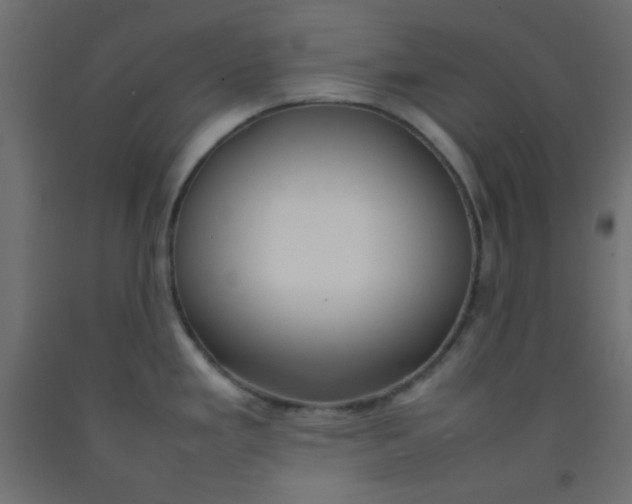 X0000092071293200710101010