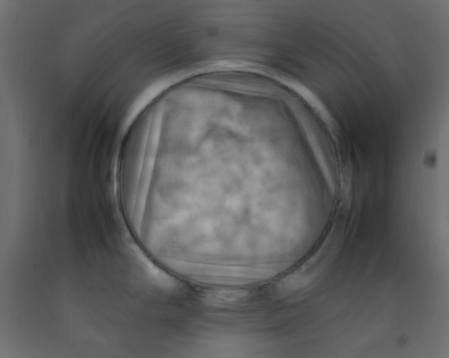 X0000092071294200710101010
