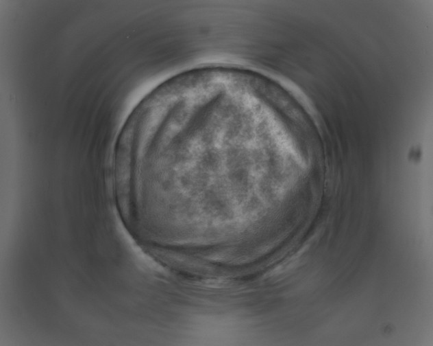 X0000092071295200710101010