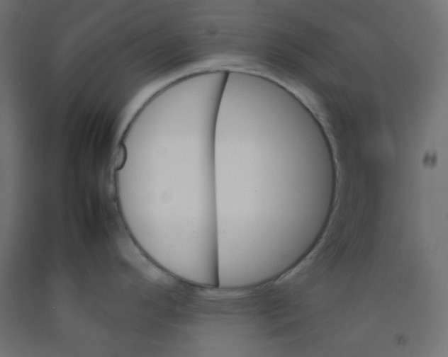 X0000092071296200710101010