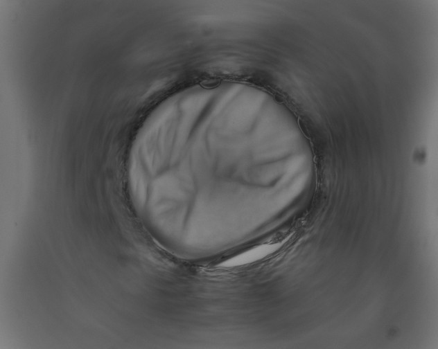 X0000092071297200710101010