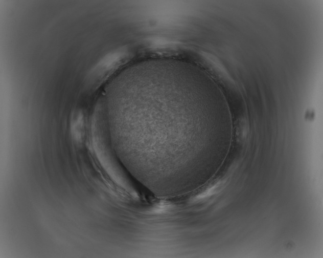 X0000092071298200710101010
