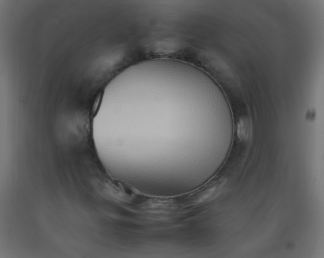 X0000092071299200710101010