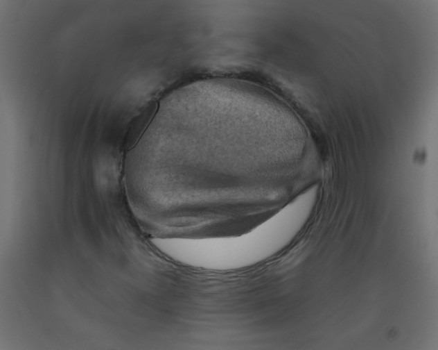 X0000092071300200710101010