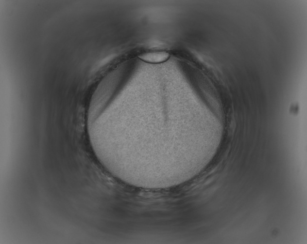 X0000092071301200710101010