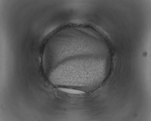 X0000092071302200710101010