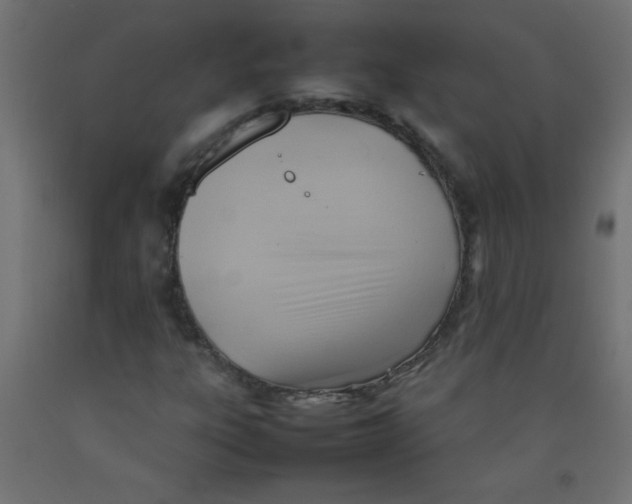 X0000092071303200710101010