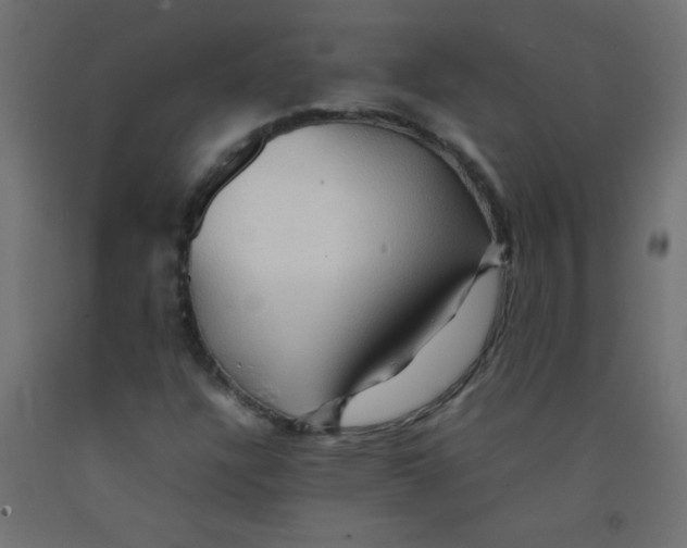 X0000092071304200710101010