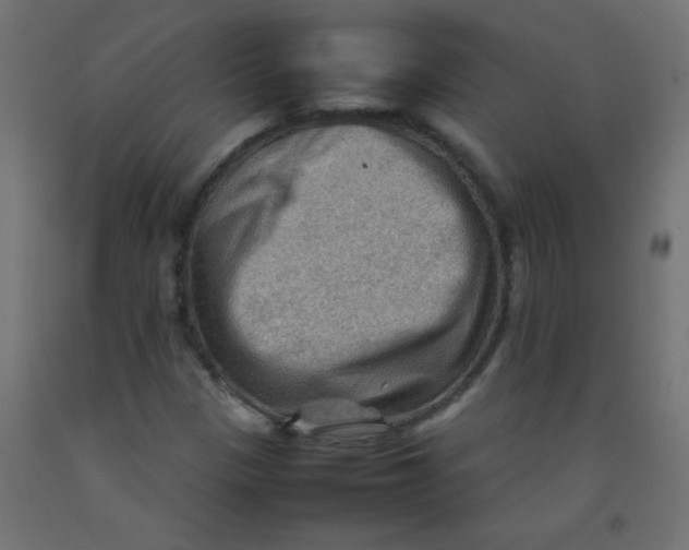 X0000092071305200710101010