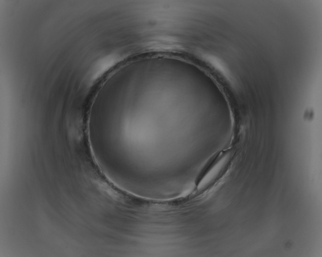X0000092071306200710101010