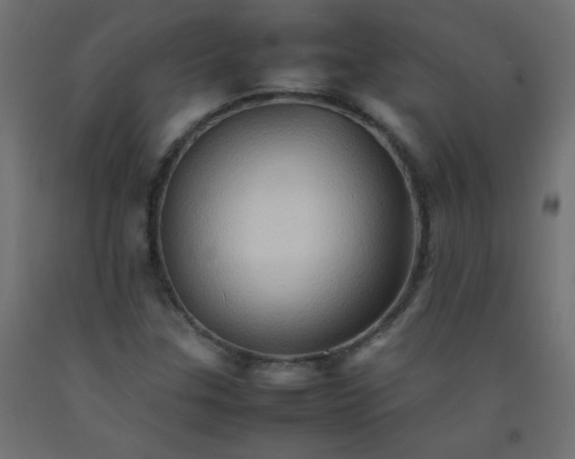 X0000092071307200710101010