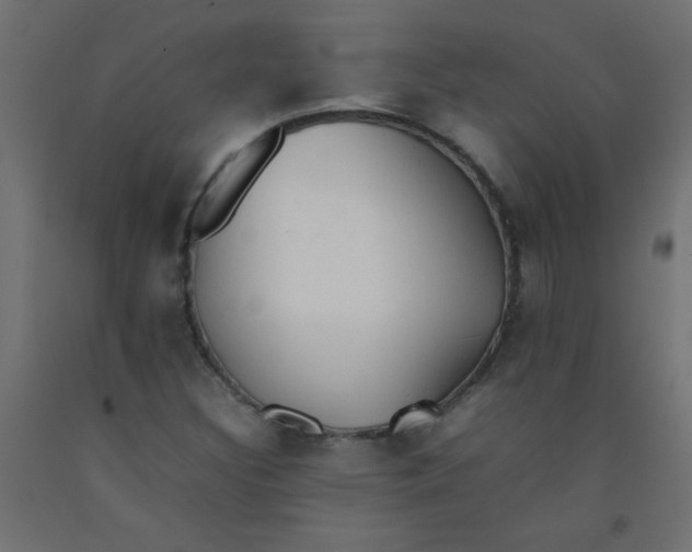 X0000092071308200710101010