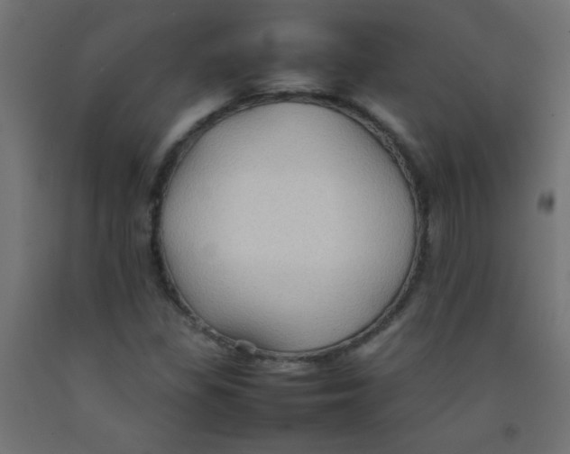 X0000092071309200710101010