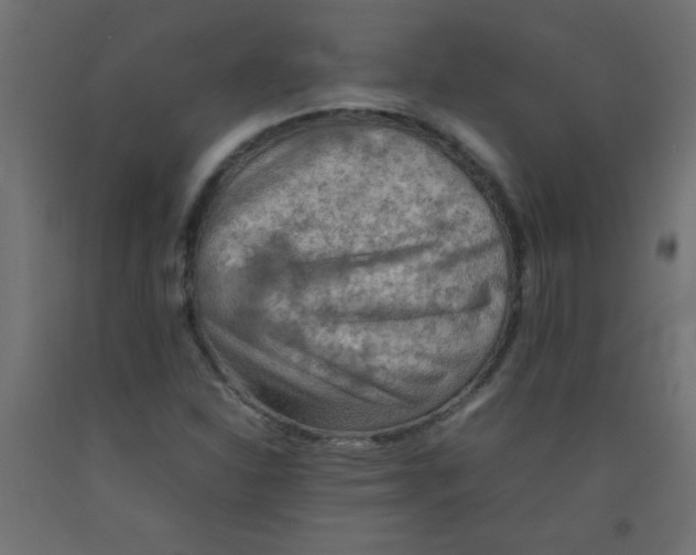 X0000092071310200710101010