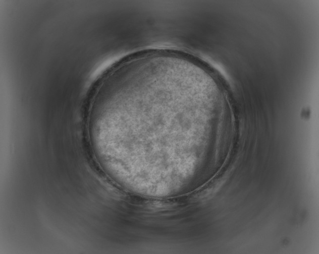 X0000092071311200710101010