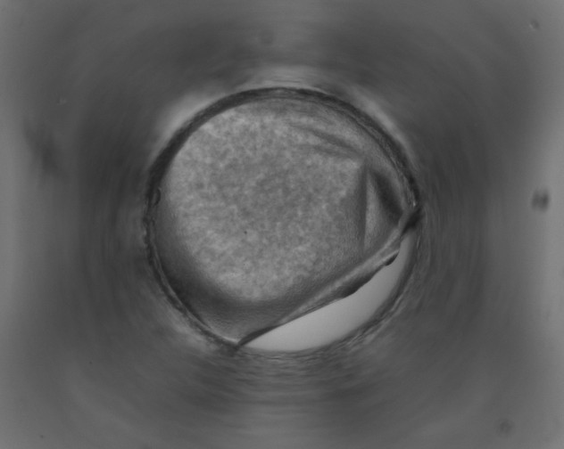 X0000092071312200710101010