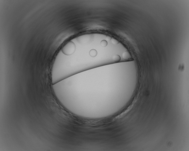 X0000092071313200710101010