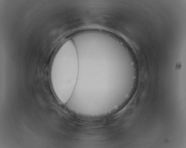 X0000092071314200710101010