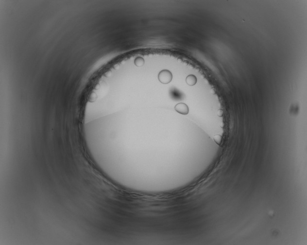 X0000092071315200710101010