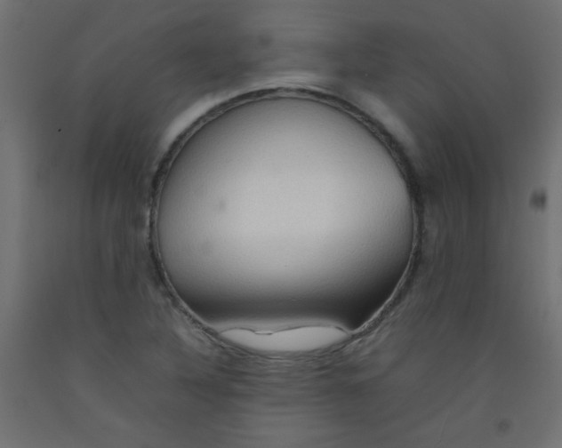 X0000092071316200710101010