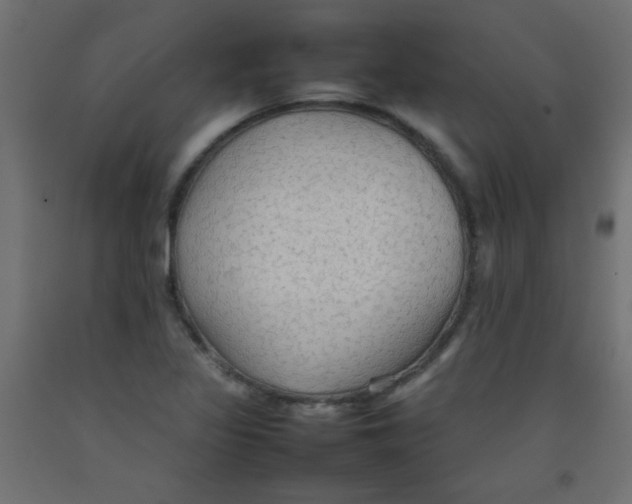 X0000092071317200710101010