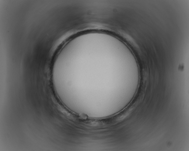 X0000092071318200710101010