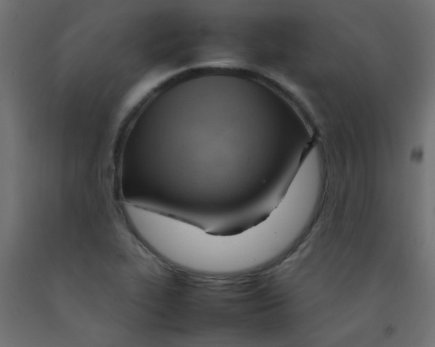 X0000092071319200710101010