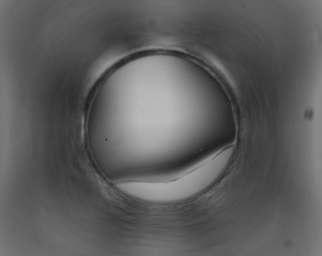 X0000092071320200710101010
