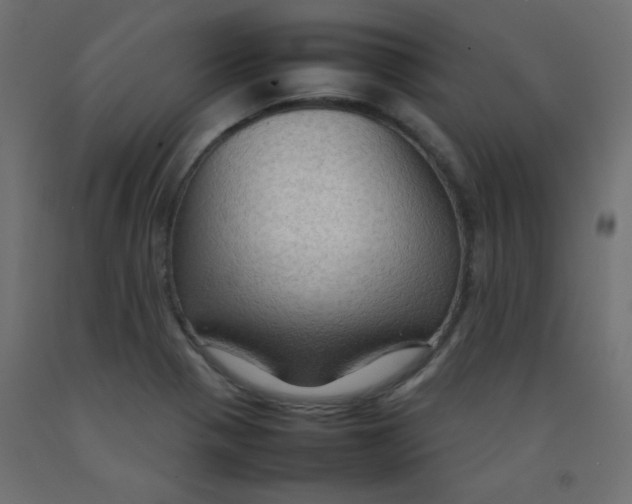 X0000092071321200710101010