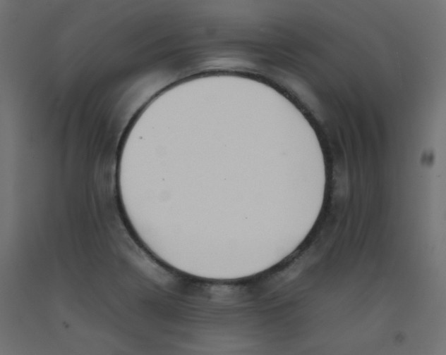 X0000092071322200710101010