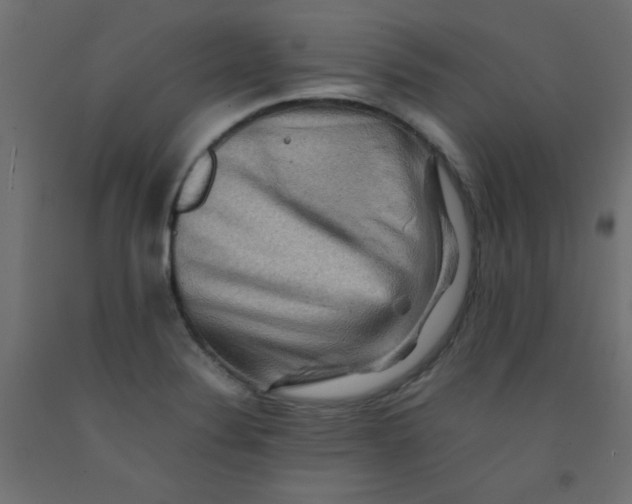 X0000092071324200710101010
