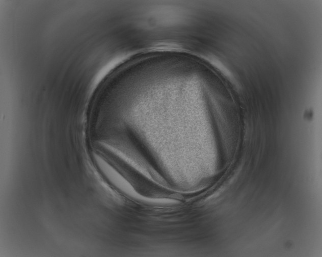 X0000092071325200710101010