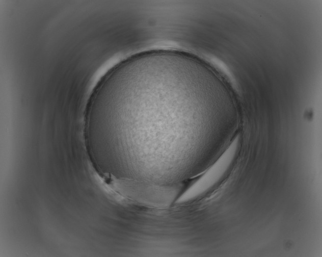 X0000092071326200710101010