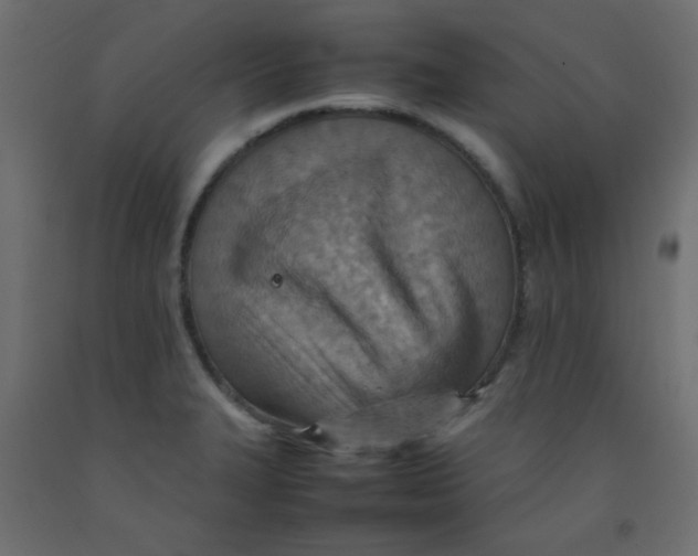 X0000092071327200710101010