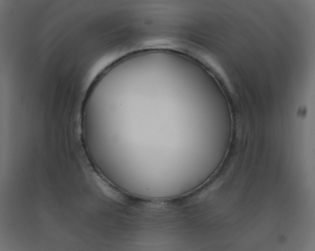X0000092071328200710101010