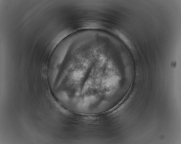 X0000092071329200710101010