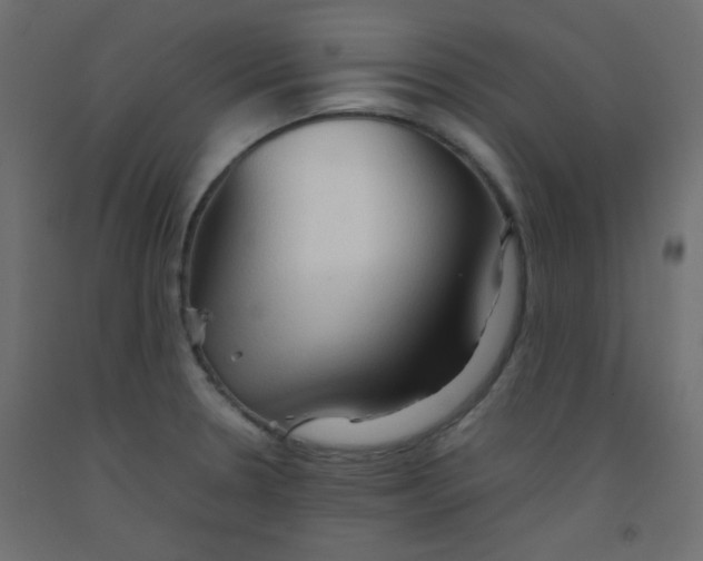 X0000092071330200710101010