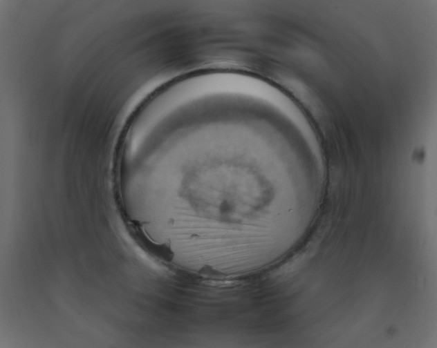 X0000092071331200710101010