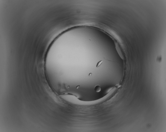 X0000092071332200710101010