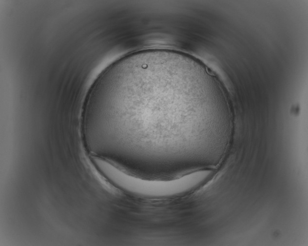 X0000092071333200710101010
