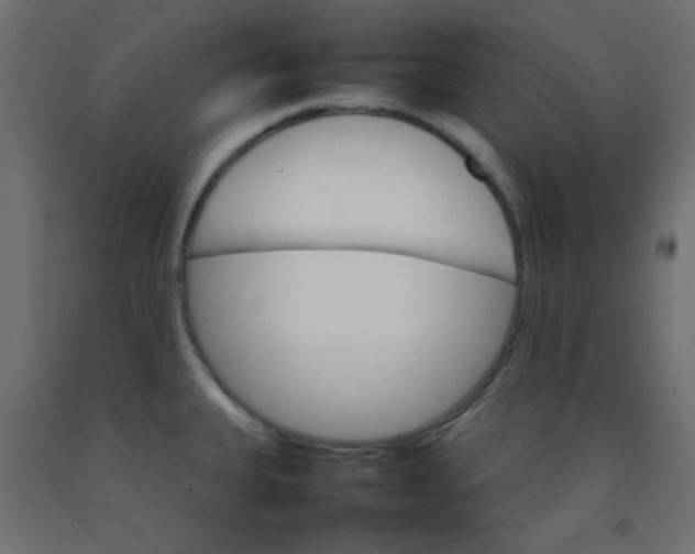 X0000092071335200710101010