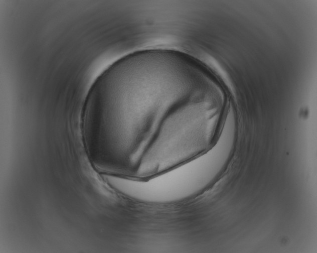 X0000092071336200710101010