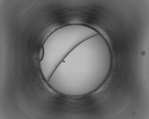 X0000092071337200710101010
