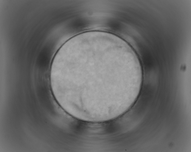 X0000092071338200710101010