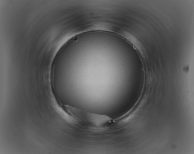 X0000092071339200710101010