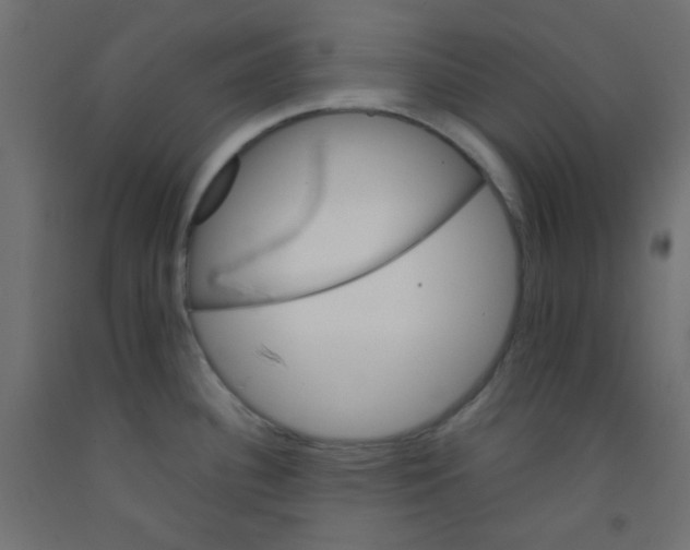 X0000092071340200710101010