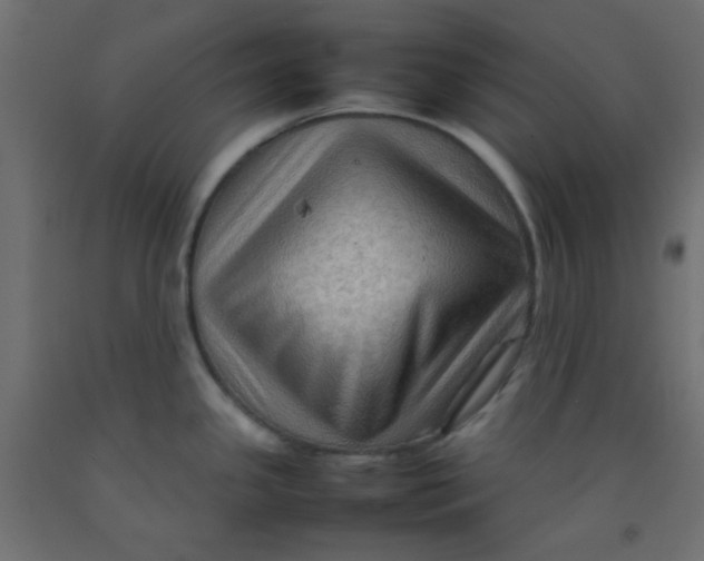 X0000092071341200710101010